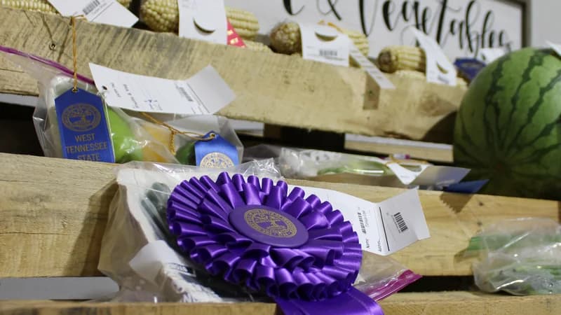 Award ribbons and produce entries at the West Tennessee State Fair exhibits